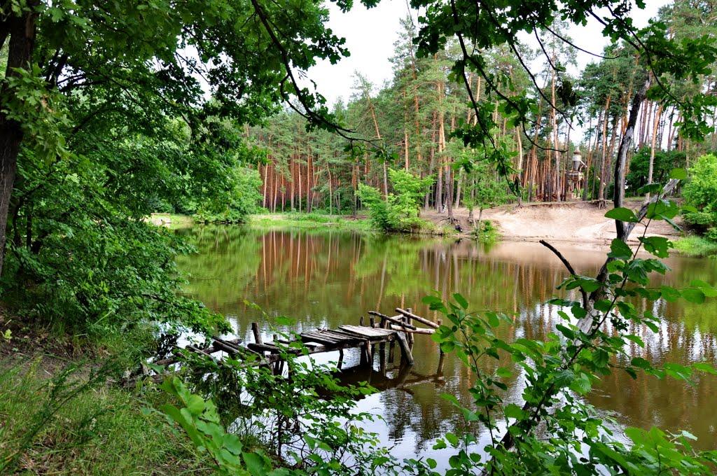Кремінна з panoramio.com - Кременная