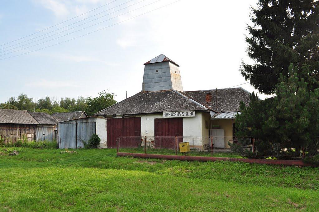 Малі Селменці з panoramio.com - Малі Селменці