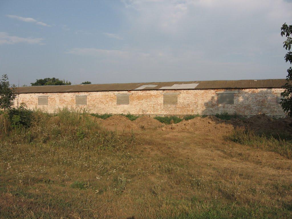 Кищенці з panoramio.com - Кищенці