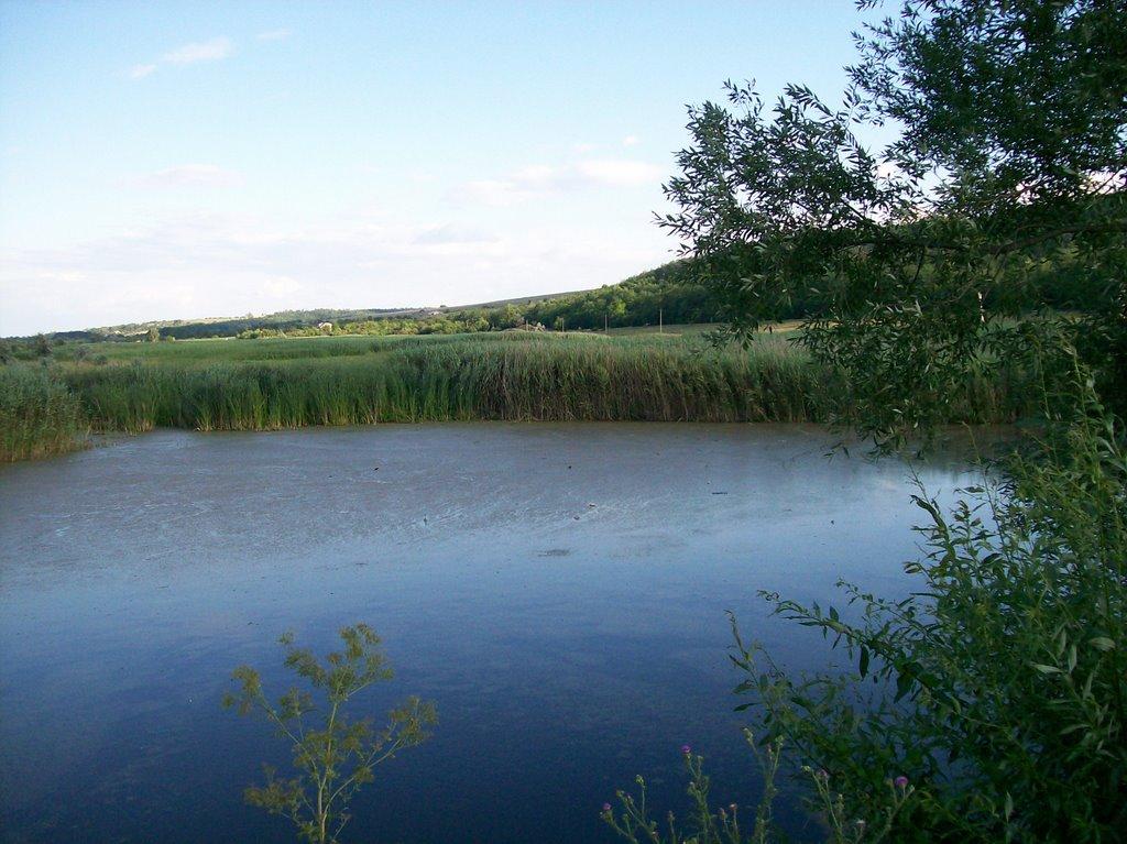 Настасіївка з panoramio.com - Настасиевка