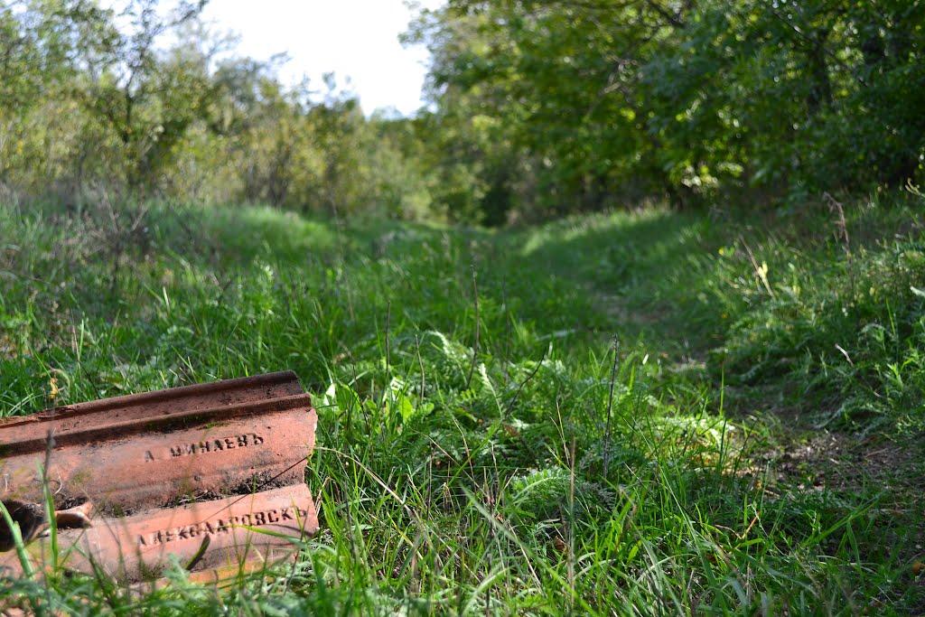 Любимівка з panoramio.com - Lyubymivka