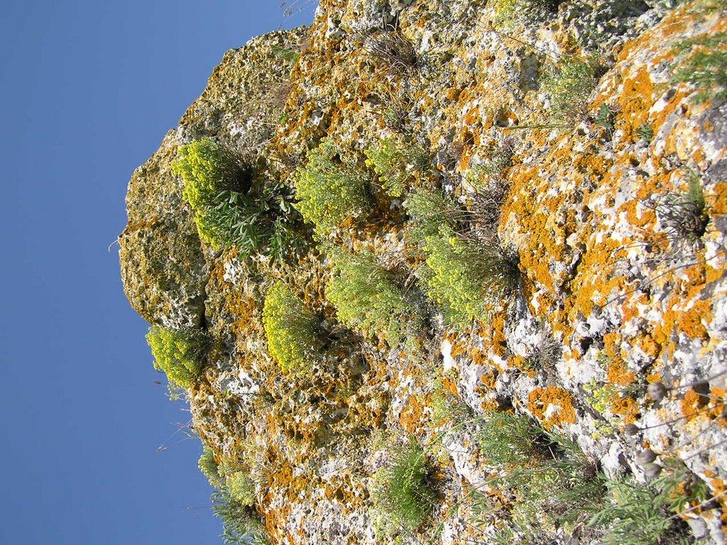 Мисове з panoramio.com - Мисове
