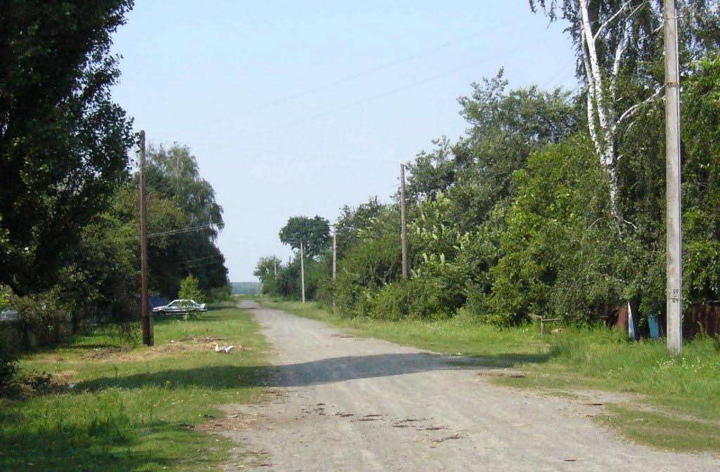 Березине з panoramio.com - Березине