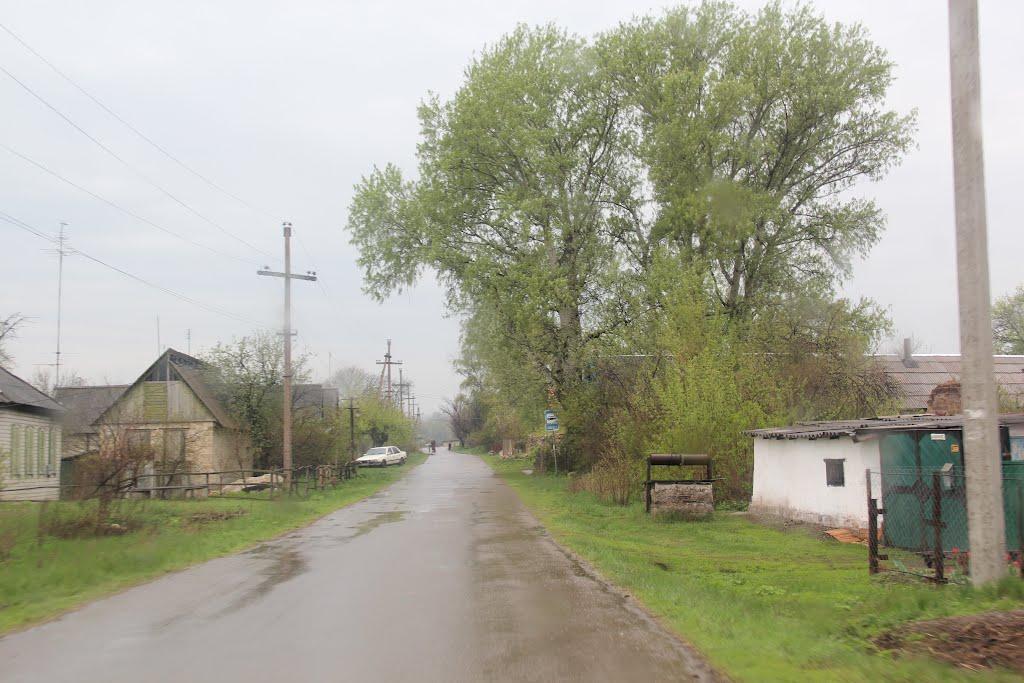 Зайцеве з panoramio.com - Зайцеве