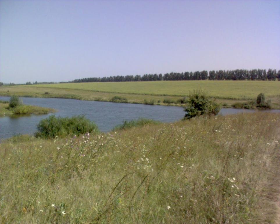 Червона Нива з panoramio.com - Червона Нива