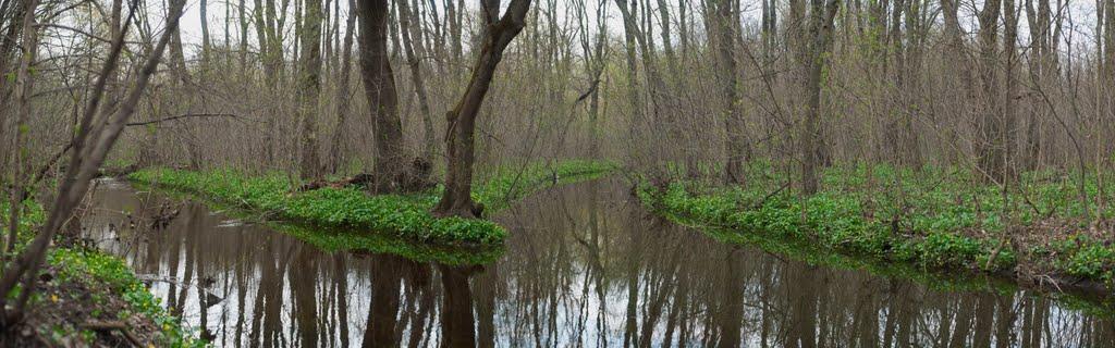 Жовті Води з panoramio.com - Жовті Води