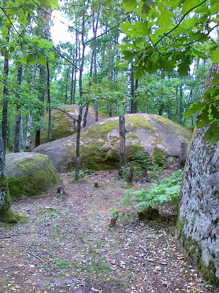 Шебедиха з panoramio.com - Шебедиха