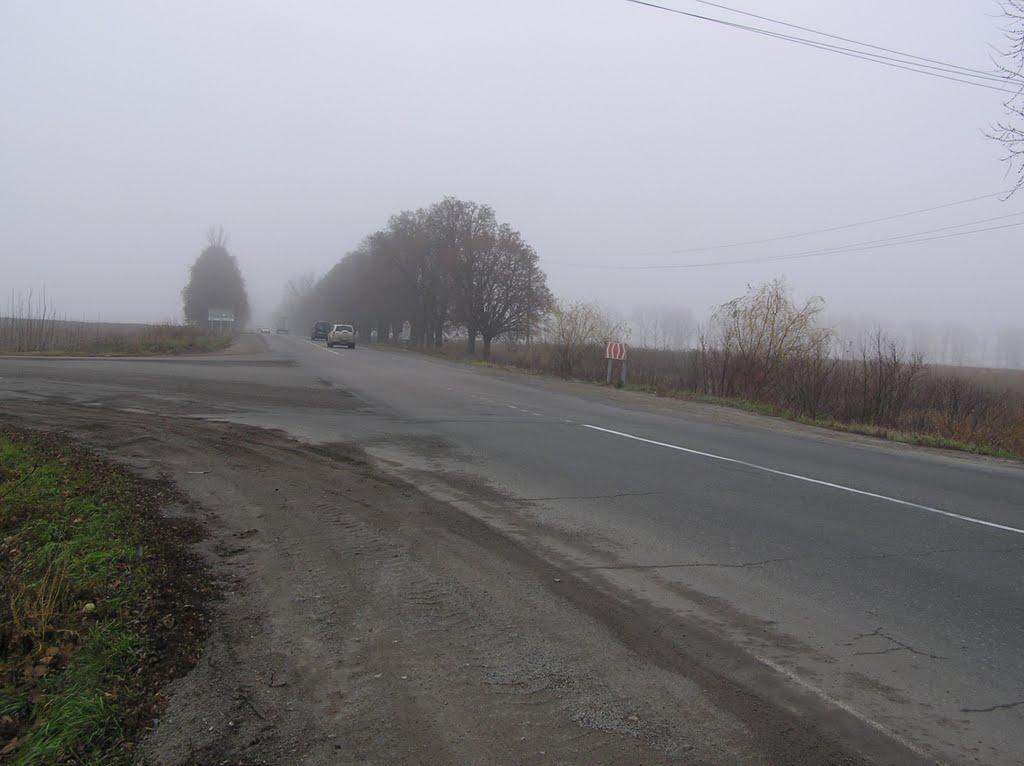 Мартусівка з panoramio.com - Мартусівка