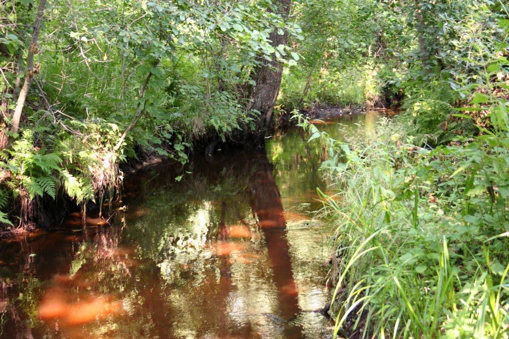 Чижівка з panoramio.com - Чижівка