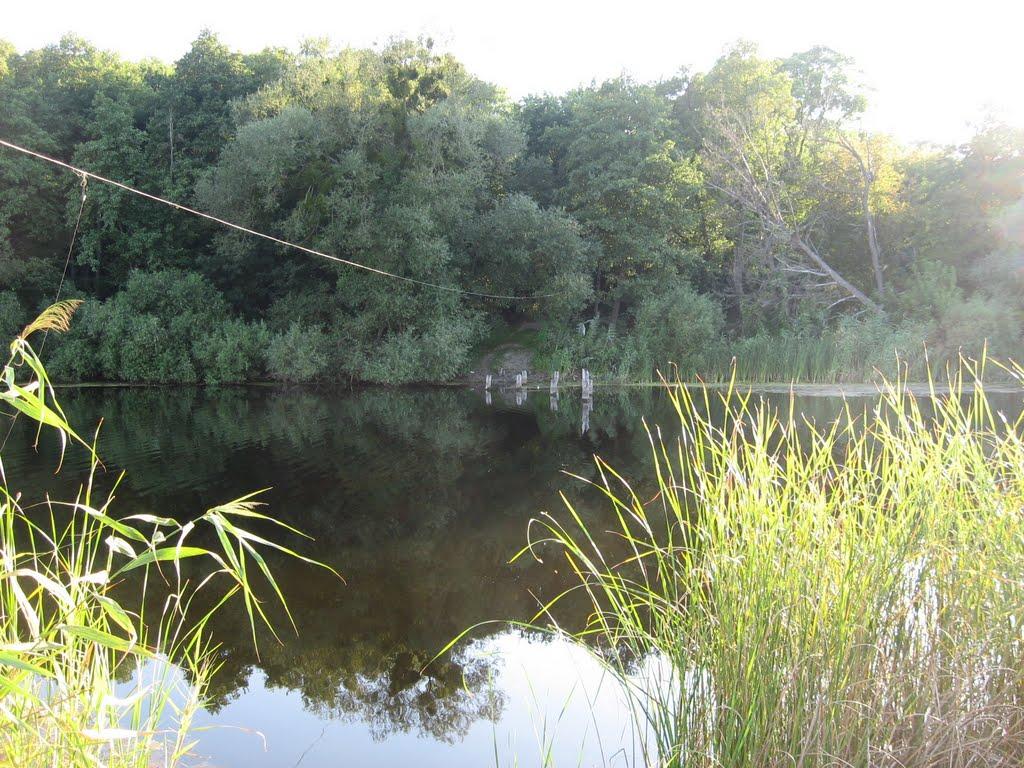 Лука з panoramio.com - Лука