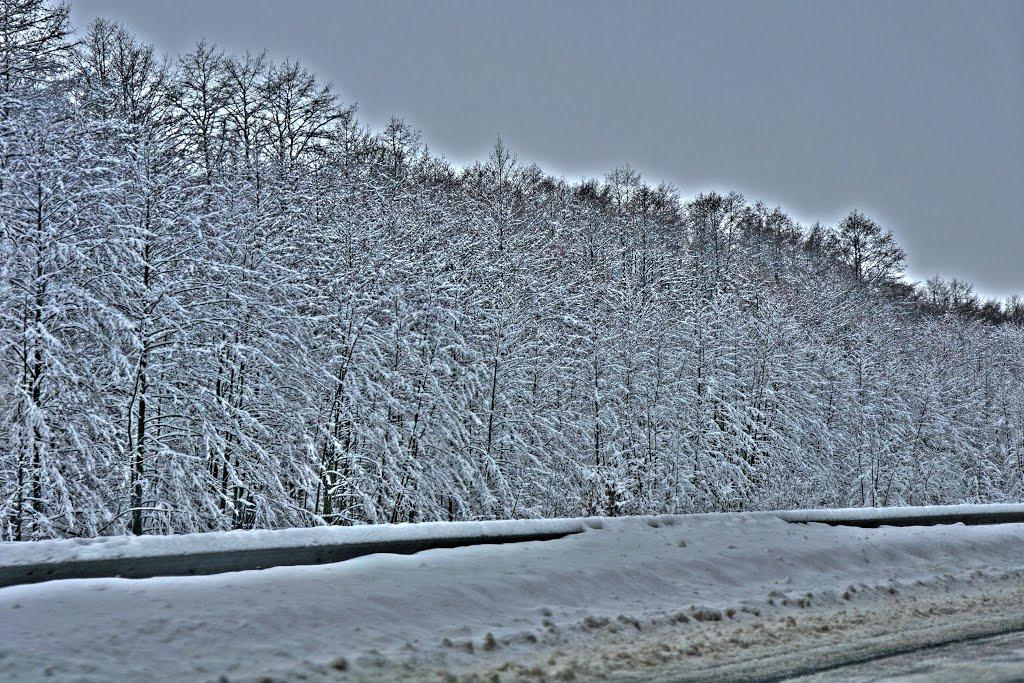 Великий Молодьків з panoramio.com - Великий Молодьків
