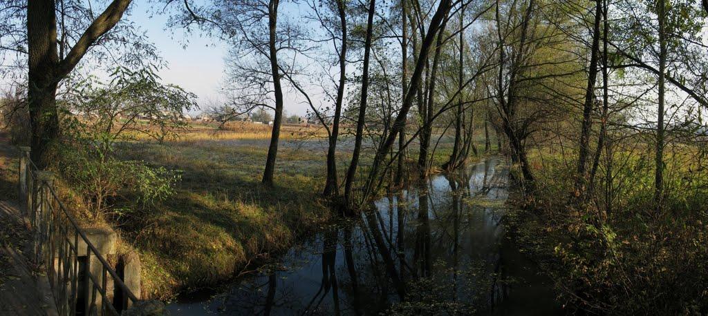 Бірки з panoramio.com - Бирки