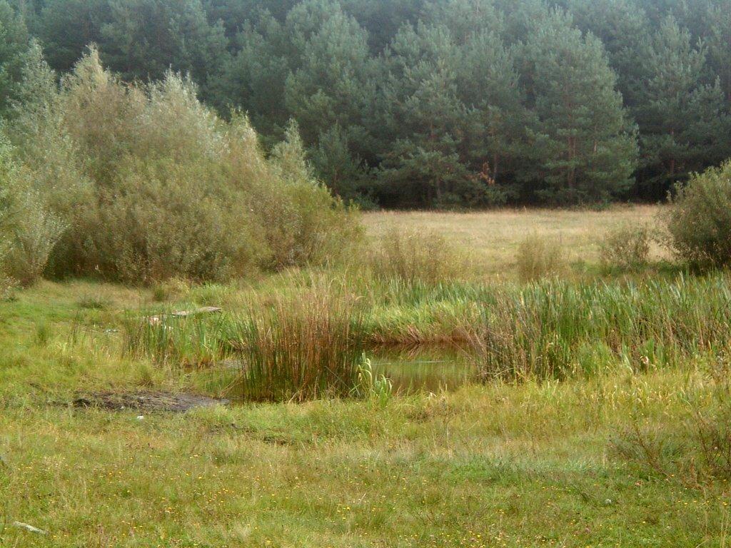 Дюксин з panoramio.com - Дюксин