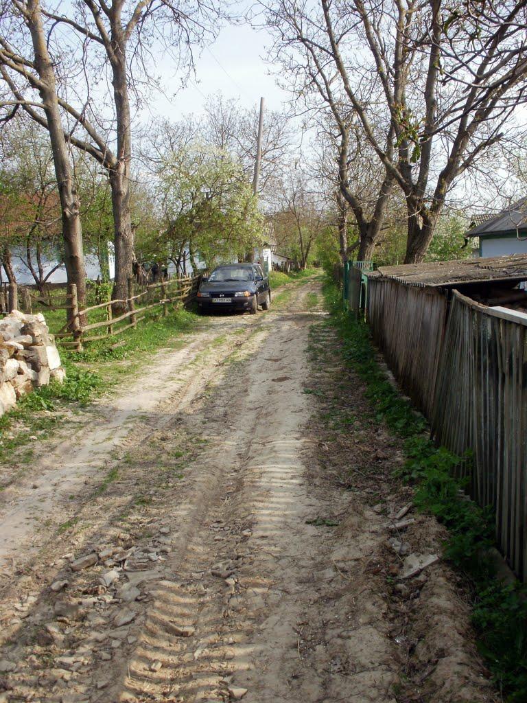 Любомирівка з panoramio.com - Любомирівка