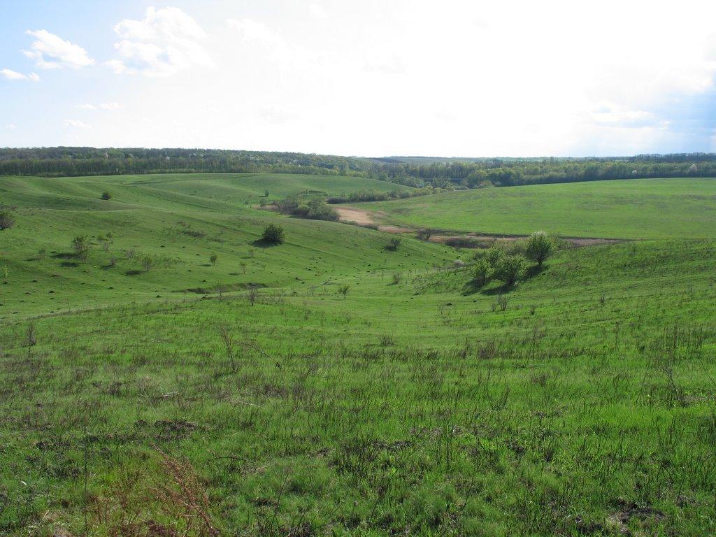 Озерне з panoramio.com - Озерное