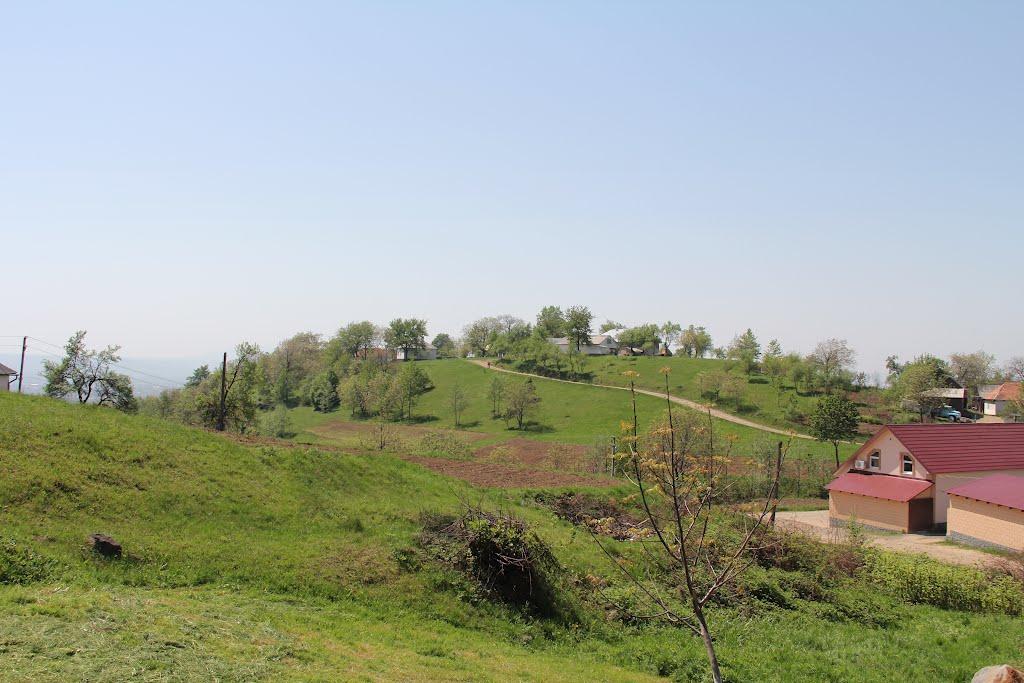 Осій з panoramio.com - Осій