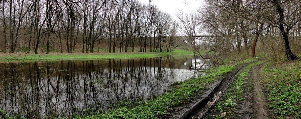 Жовті Води з panoramio.com - Жовті Води