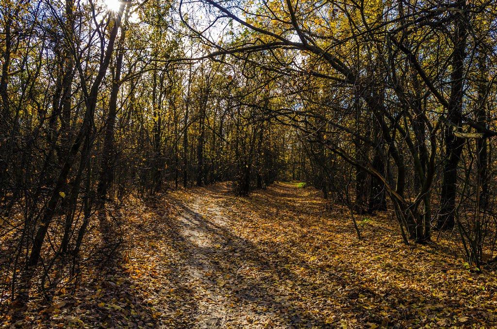 Вільне з panoramio.com - Вольное