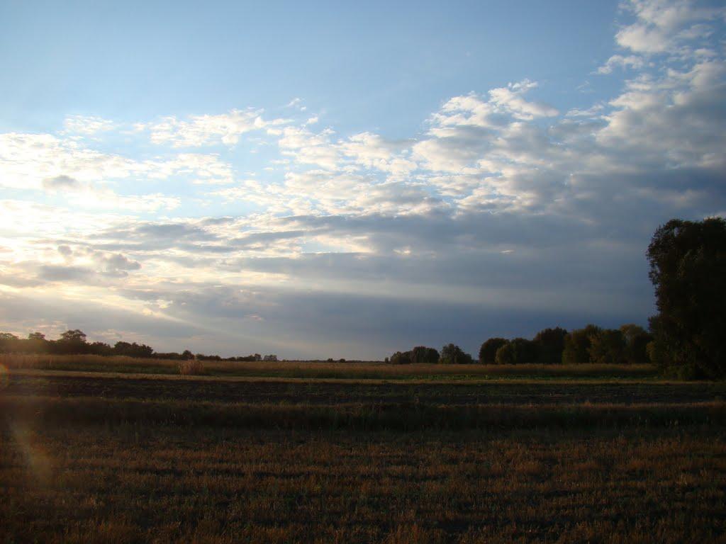 Червона Дача з panoramio.com - Червона Дача