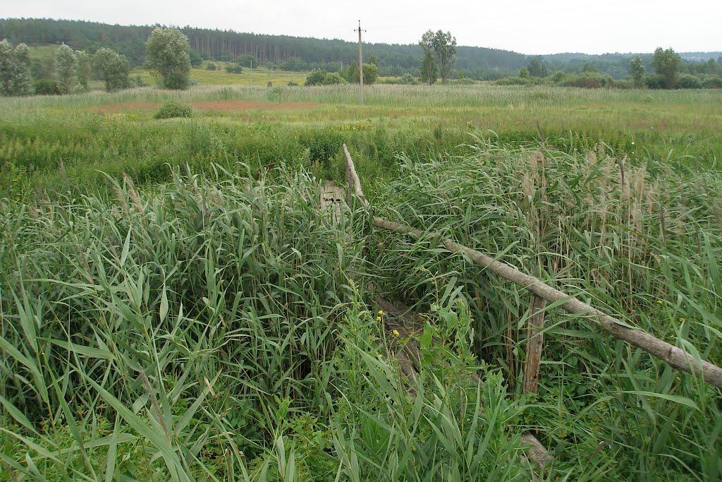 Тарасенки з panoramio.com - Тарасенки