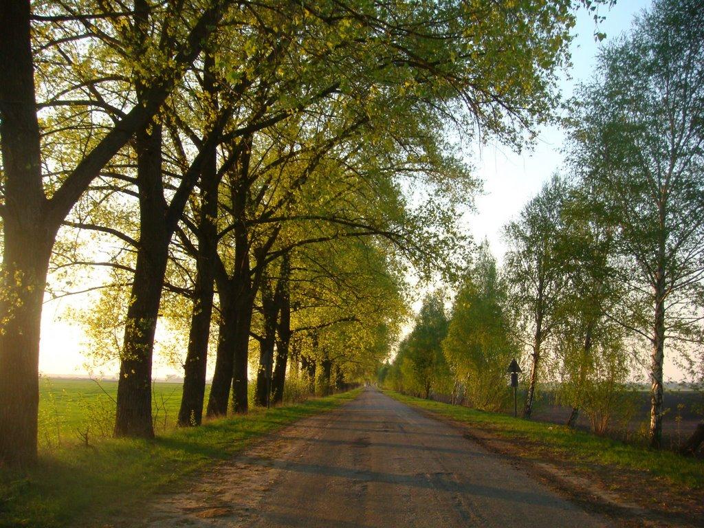 Переяслівка з panoramio.com - Переяслівка