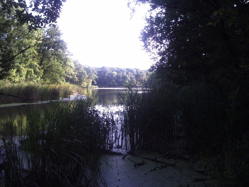 Орлівщина з panoramio.com - Орловщина