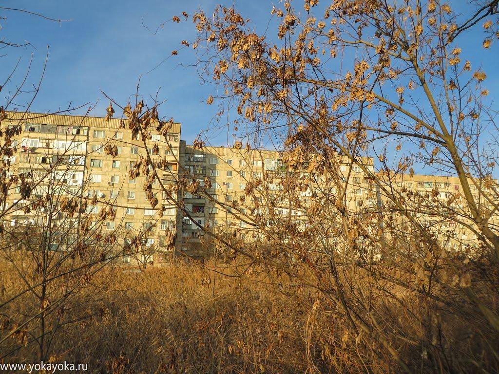 Токмак з panoramio.com - Токмак