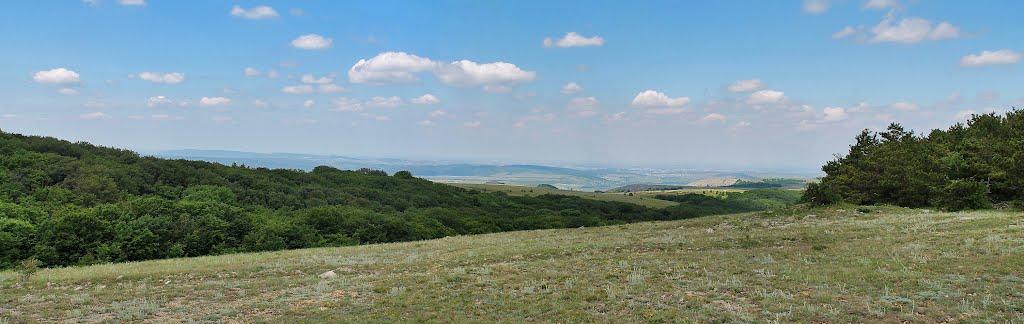 Дружне з panoramio.com - Дружне