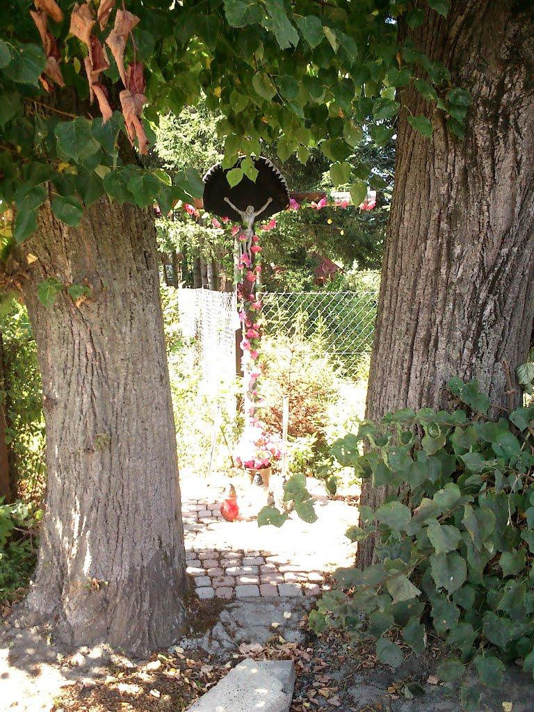 Буців з panoramio.com - Буцов