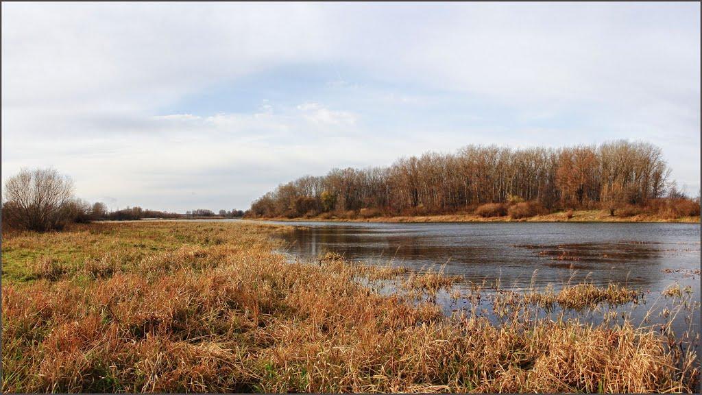 Беремицьке з panoramio.com - Beremytske