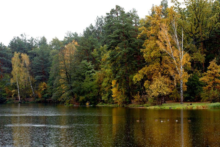 Горенка з panoramio.com - Горенка