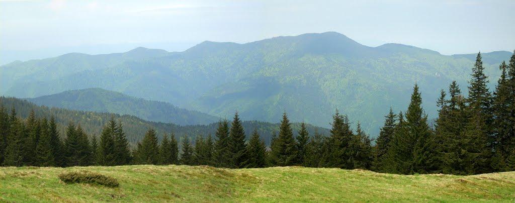 Видричка з panoramio.com - Выдричка