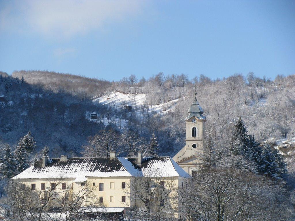 Великий Бичків з panoramio.com - Великий Бичків