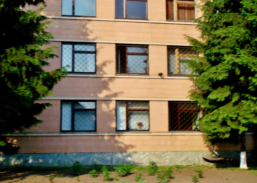 Лисянка з panoramio.com - Лысянка