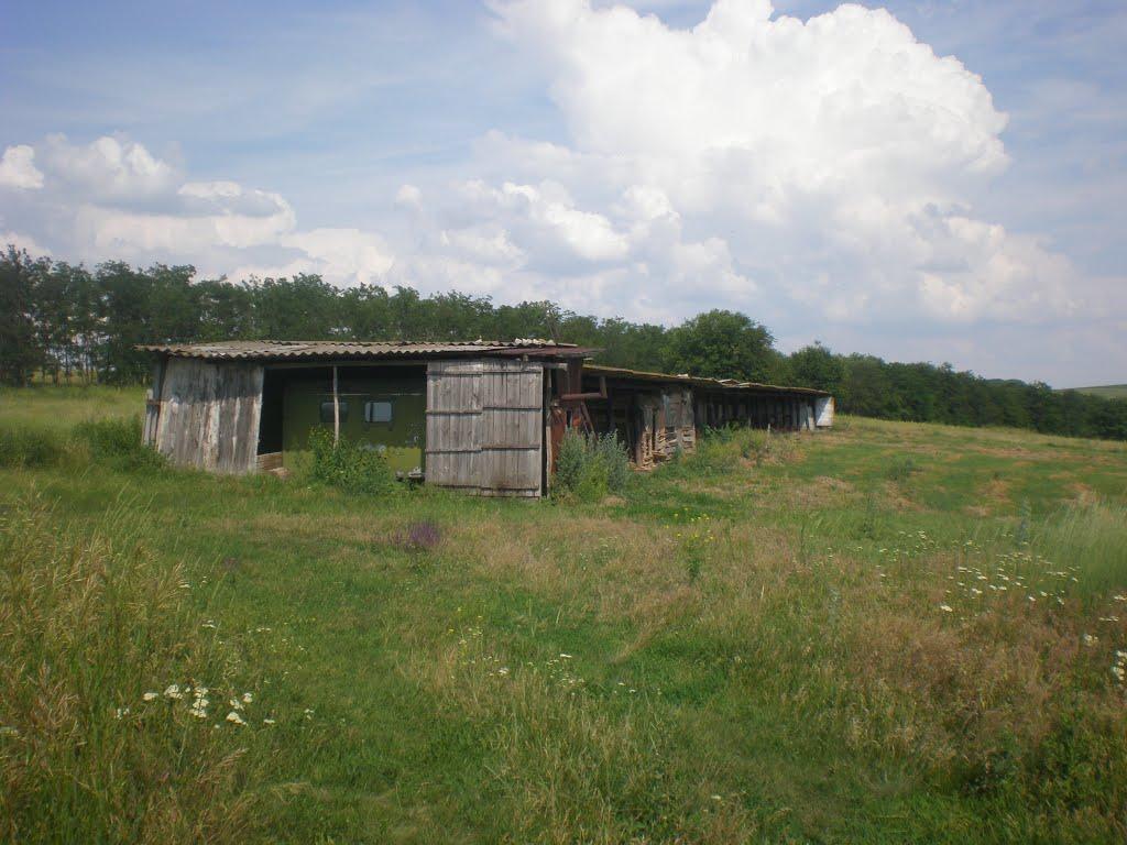 Всесвятське з panoramio.com - Всесвятське