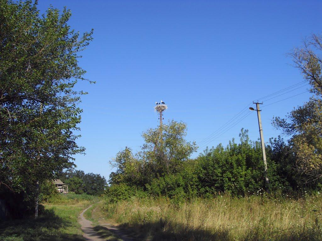 Добринька з panoramio.com - Добринька