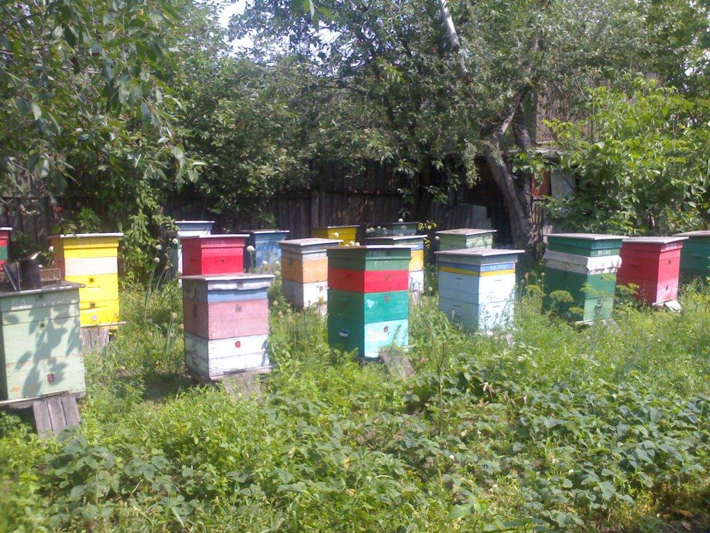 Шостка з panoramio.com - Шостка