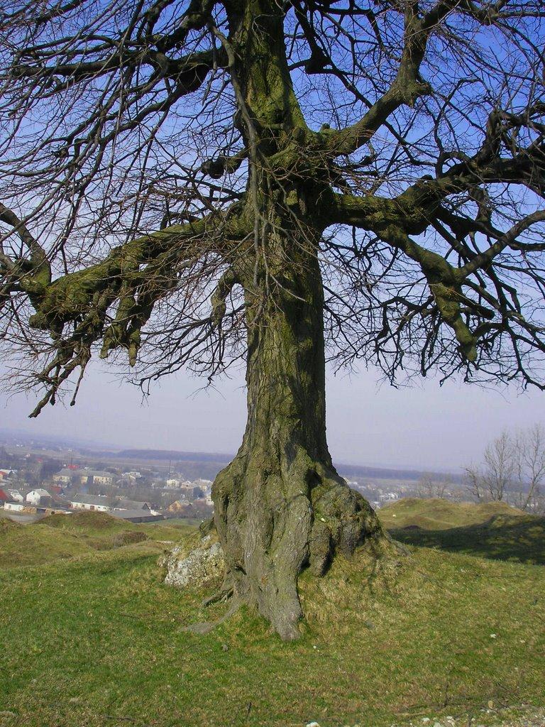 Підкамінь з panoramio.com - Pidkamin