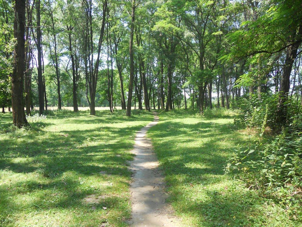 Новий Розділ з panoramio.com - Новый Роздол