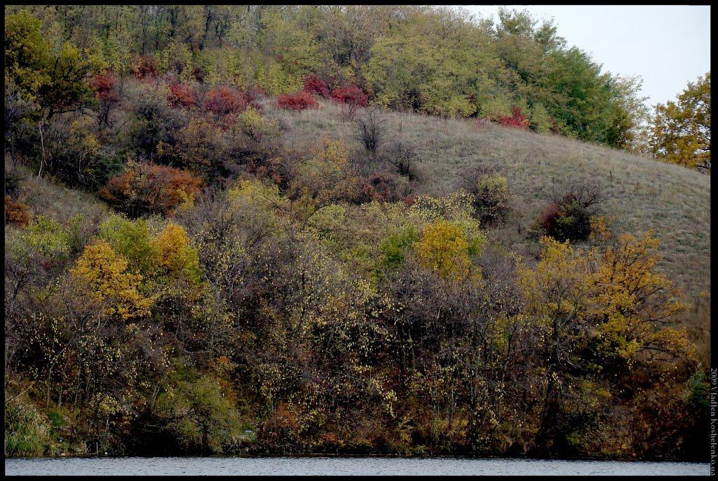 Вовніги з panoramio.com - Вовніги