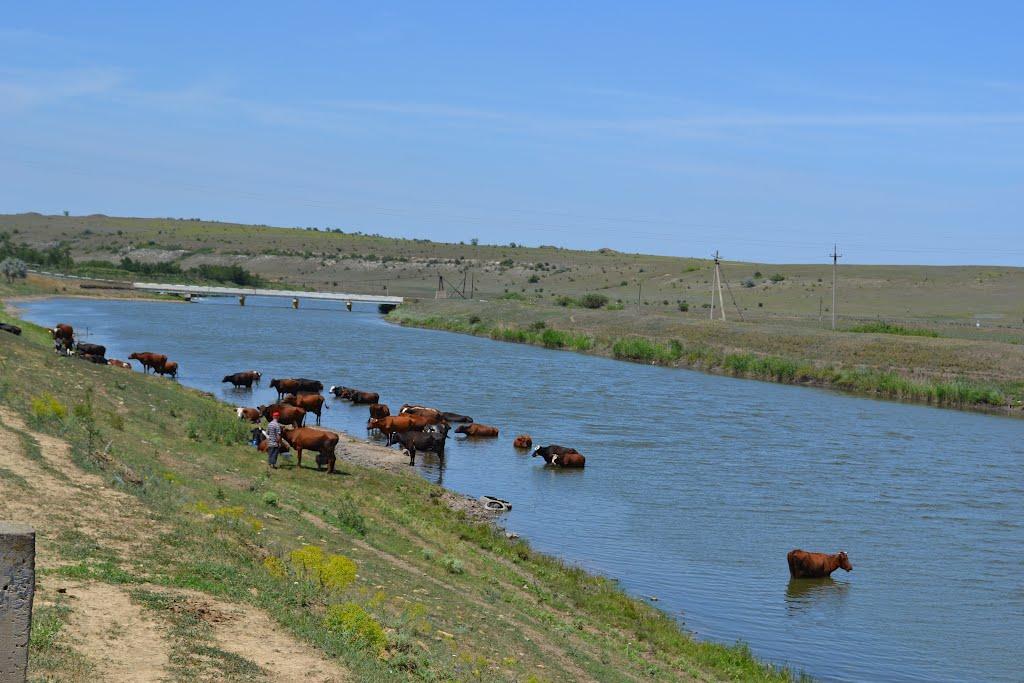 Заповіт з panoramio.com - Заповіт