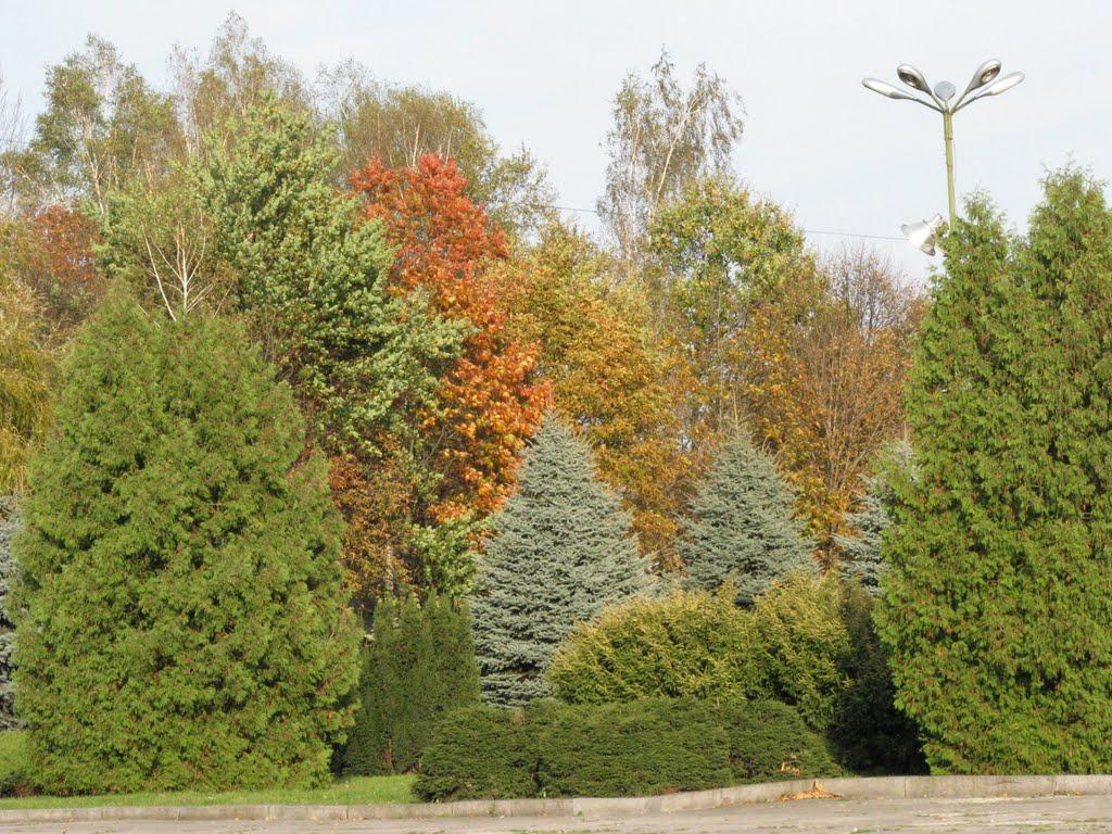 Шепетівка з panoramio.com (ч.2) - Шепетовка