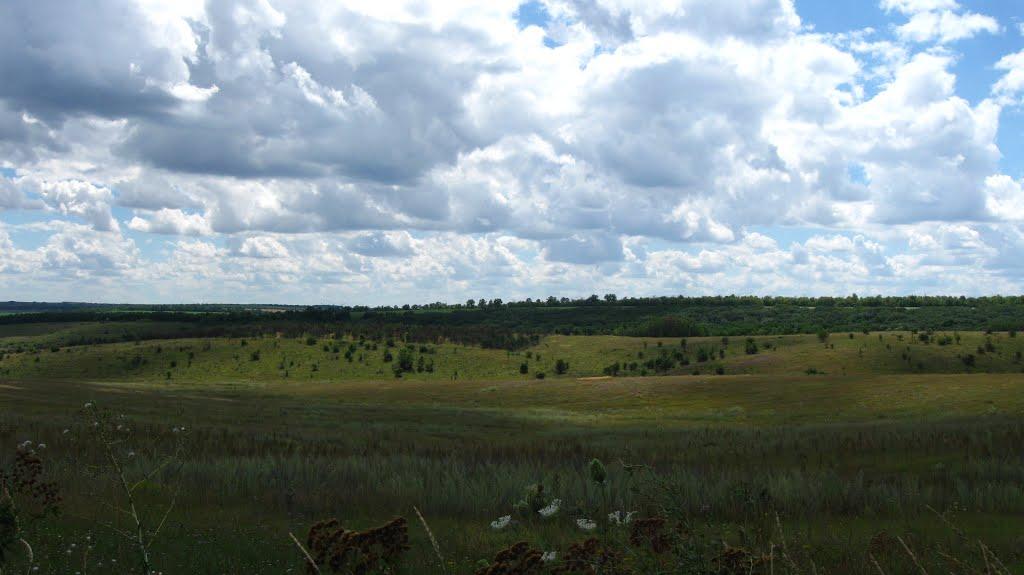 Роганське з panoramio.com - Роганское