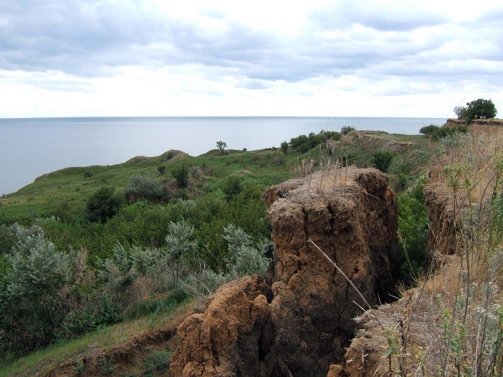 Куликівське з panoramio.com - Куликовское