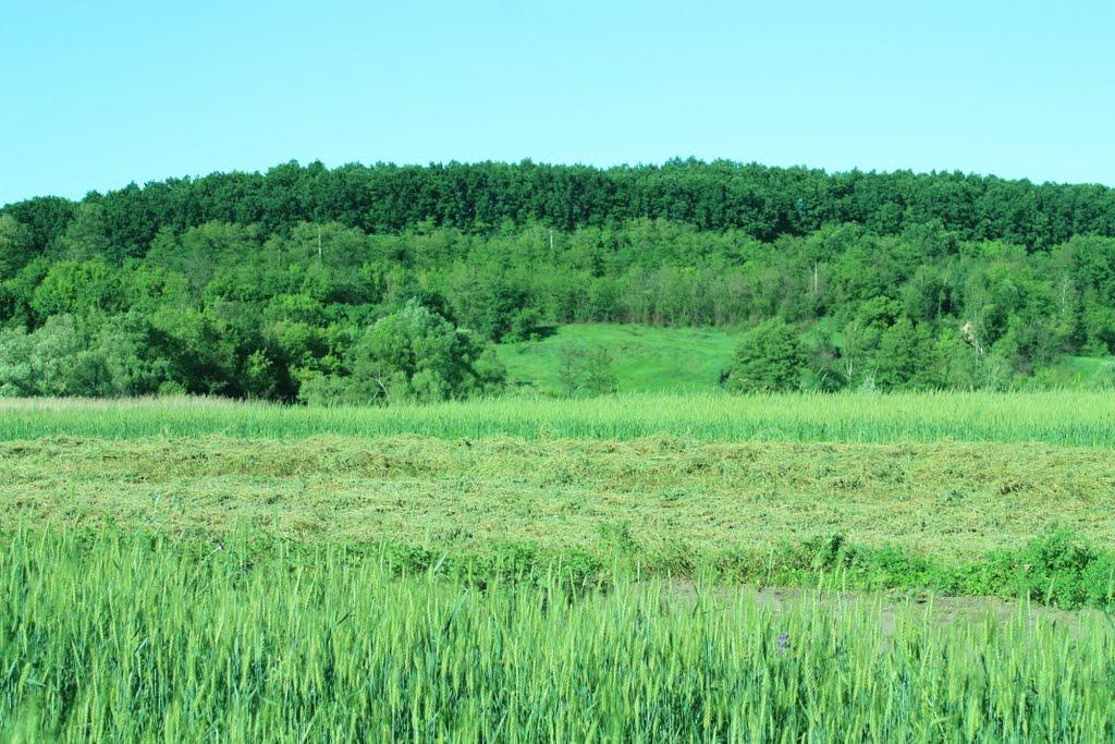 Хлистунівка з panoramio.com - Хлистунівка