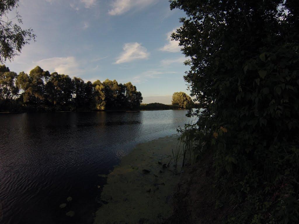 Лука з panoramio.com - Лука