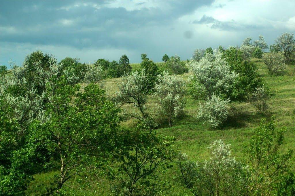 Хлистунівка з panoramio.com - Хлистунівка