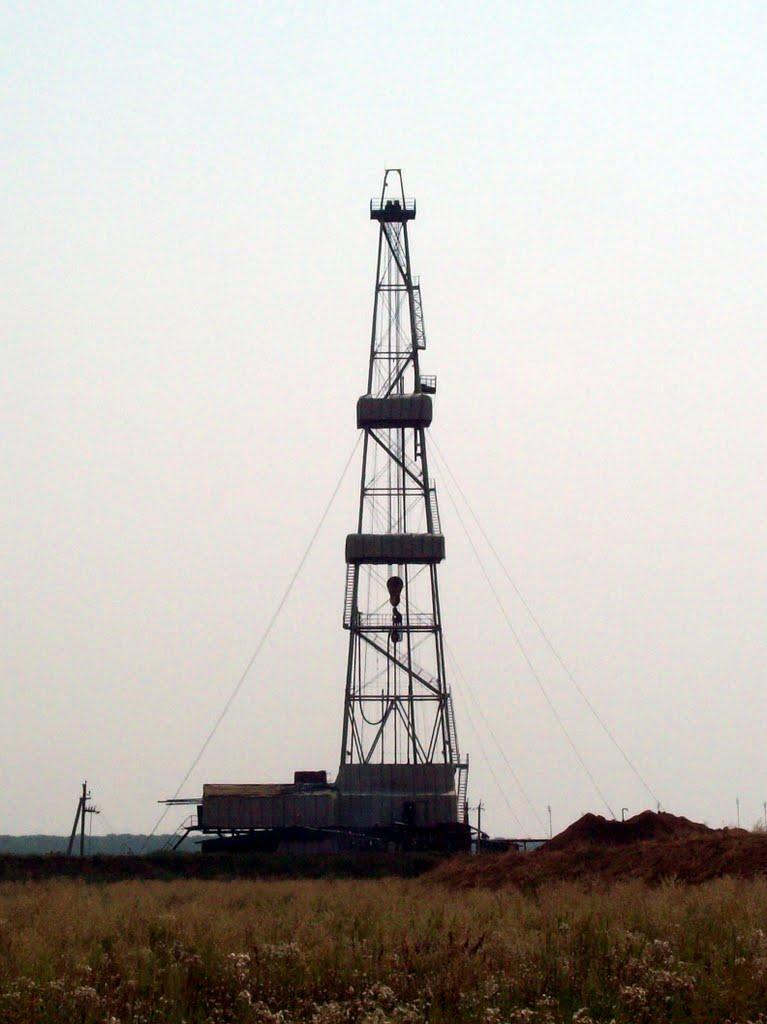 Бідряги з panoramio.com - Бедряги