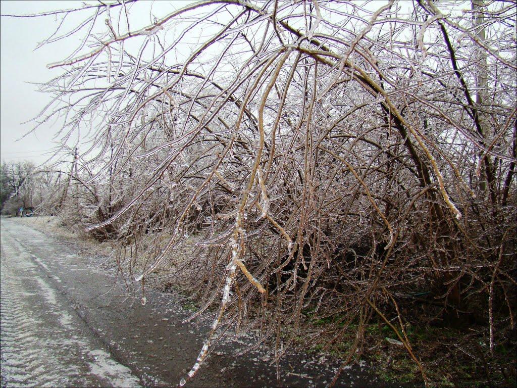 Янишівка з panoramio.com - Янишевка