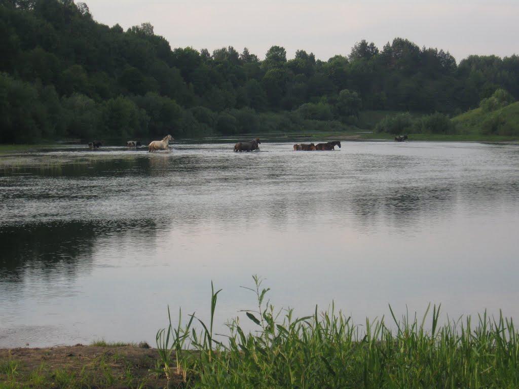 Маринин з panoramio.com - Маринин